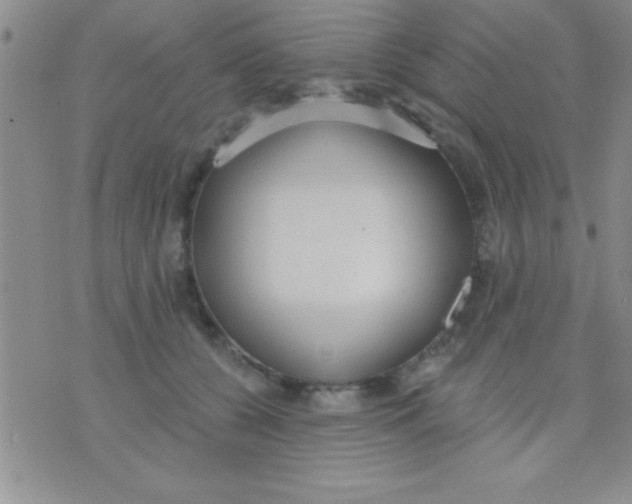 X0000071960560200607282036