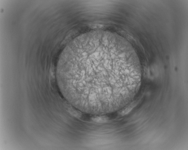 X0000071960561200607282036