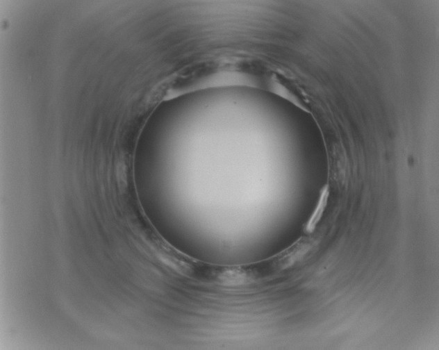 X0000071960562200607282036