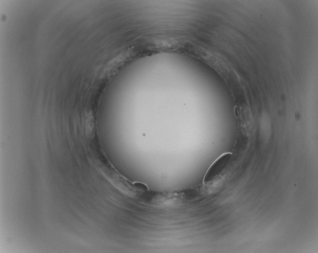 X0000071960563200607282036