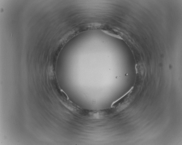 X0000071960564200607282036