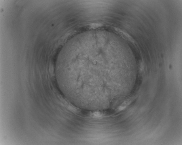 X0000071960565200607282036