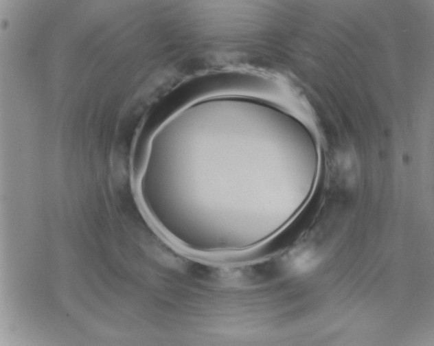 X0000071960566200607282036