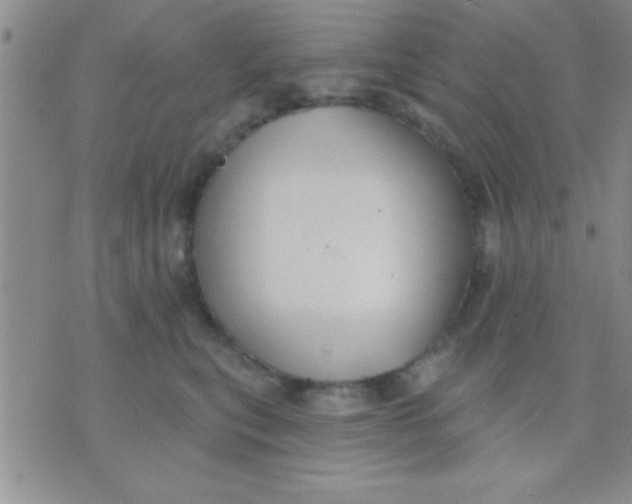 X0000071960567200607282036