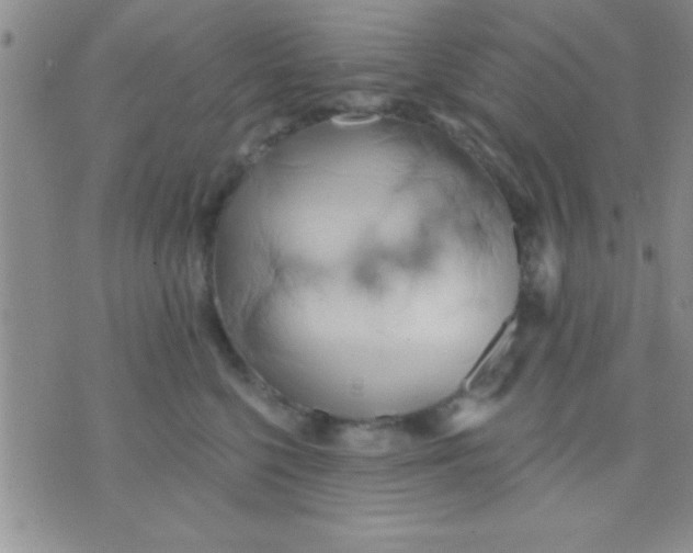 X0000071960568200607282036