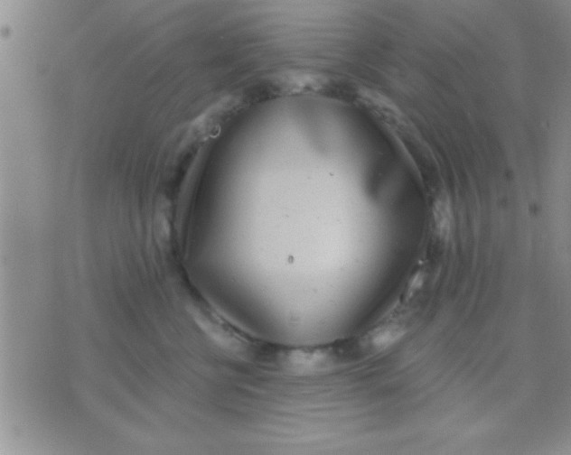 X0000071960570200607282036