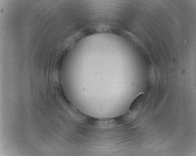 X0000071960571200607282036