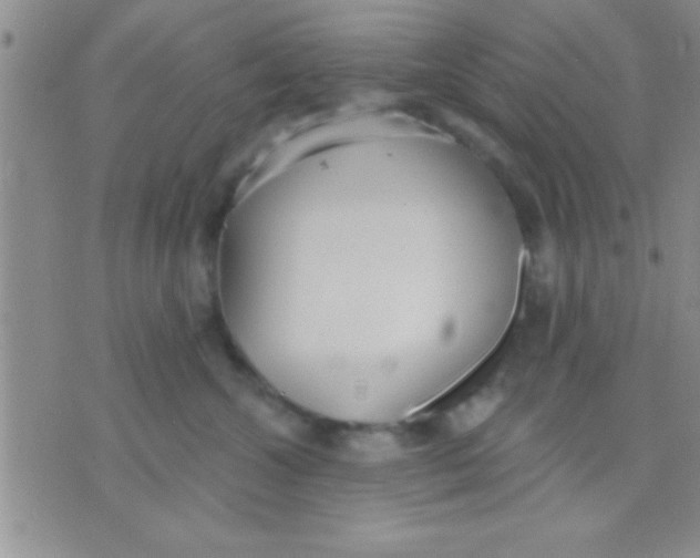 X0000071960572200607282036