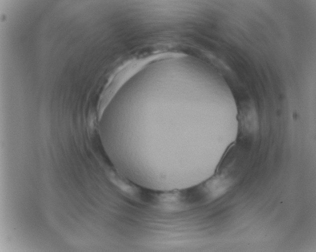 X0000071960574200607282036