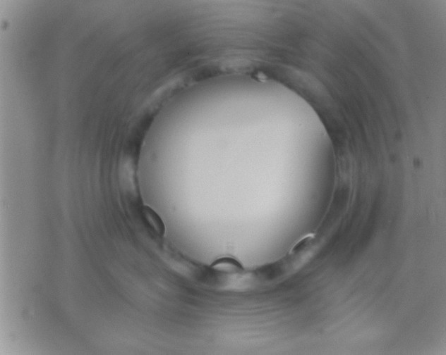 X0000071960575200607282036