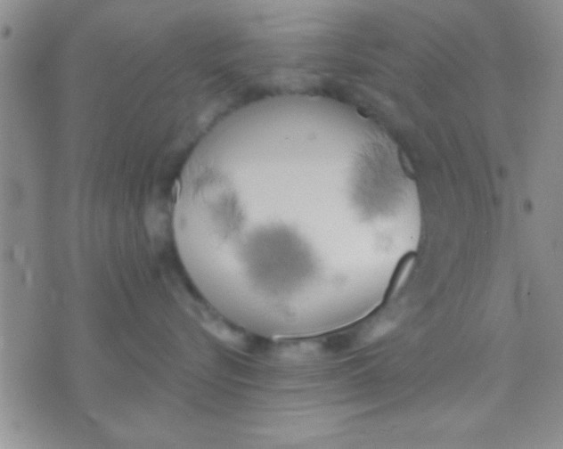 X0000071960576200607282036