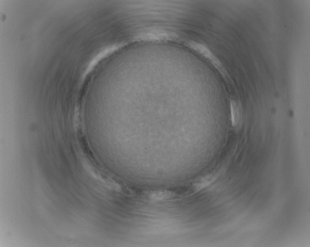 X0000071960579200607282035