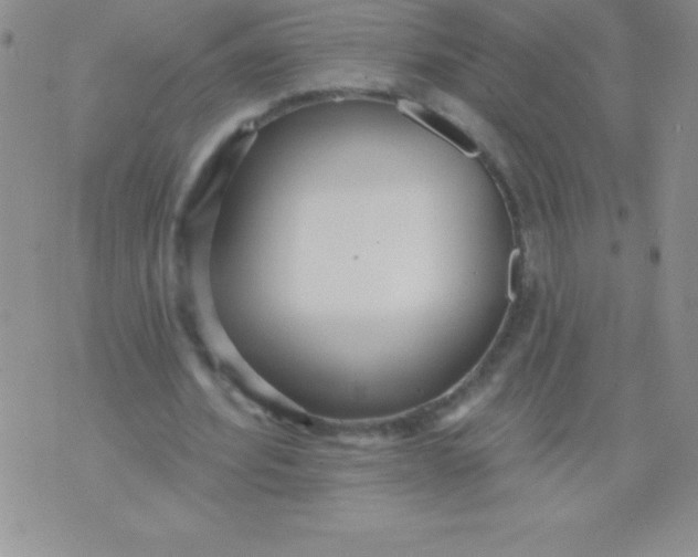 X0000071960580200607282035