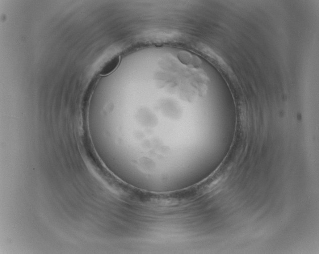 X0000071960582200607282035