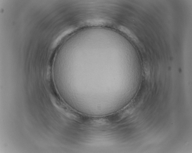 X0000071960583200607282035