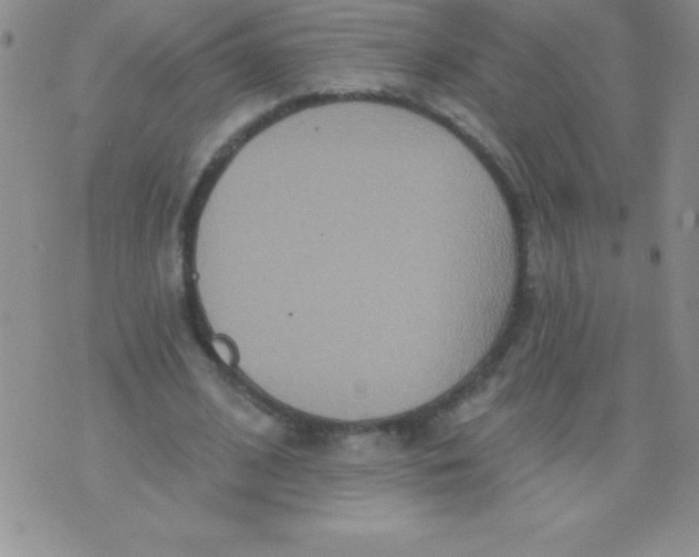 X0000071960584200607282035