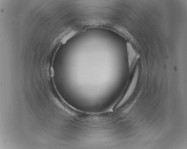 X0000071960585200607282035