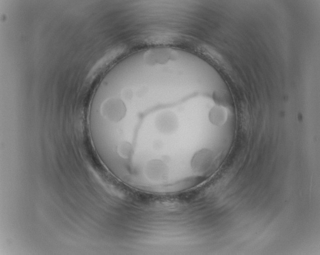 X0000071960586200607282035