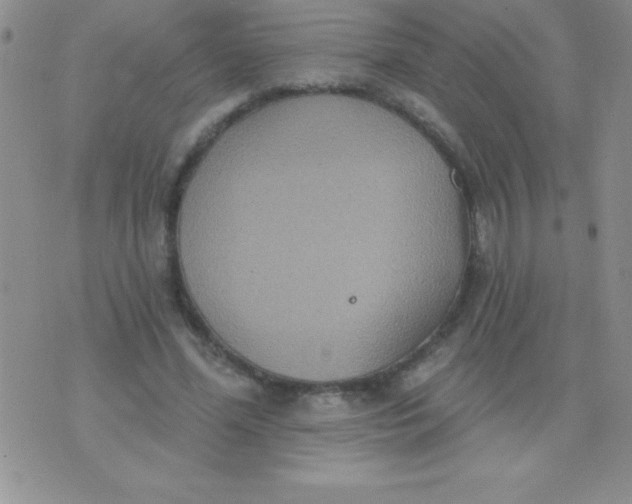 X0000071960588200607282035