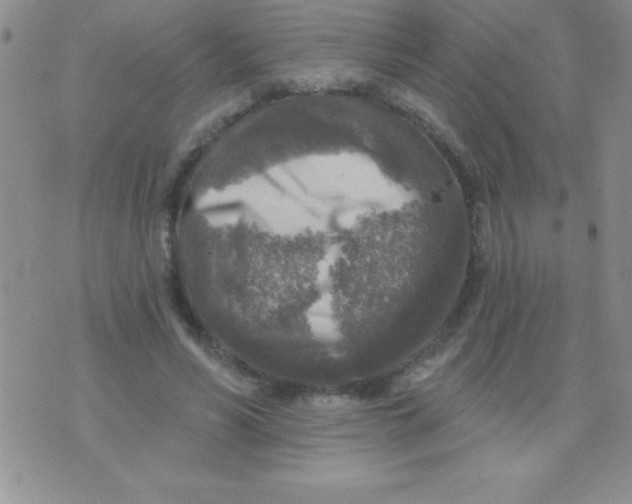 X0000071960590200607282035