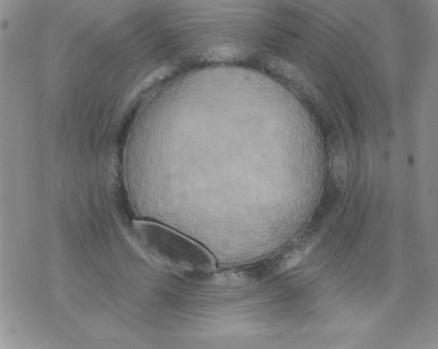 X0000071960591200607282035