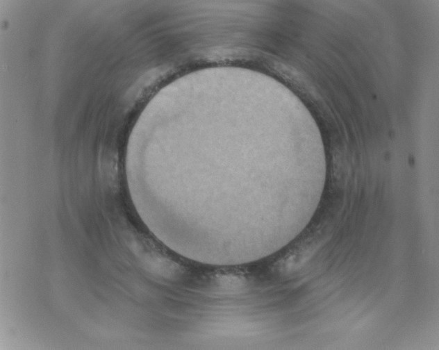 X0000071960592200607282035