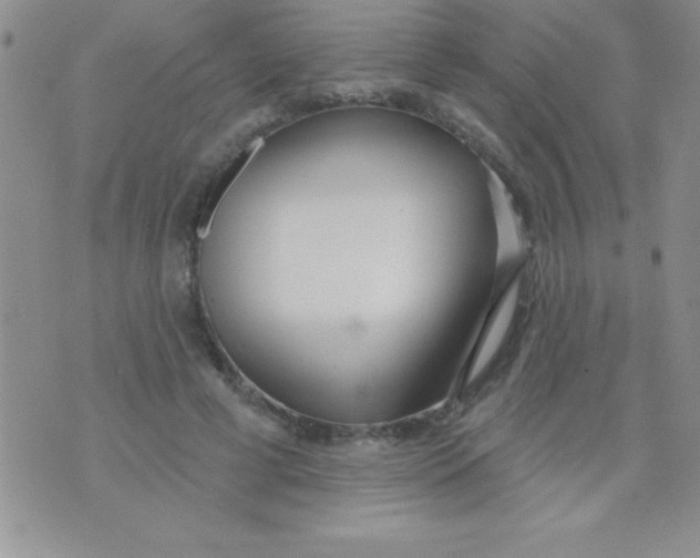 X0000071960593200607282035