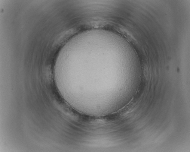 X0000071960594200607282035