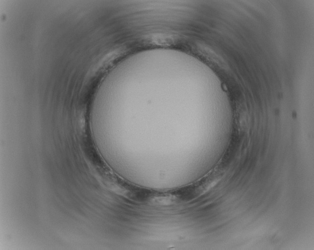 X0000071960595200607282035