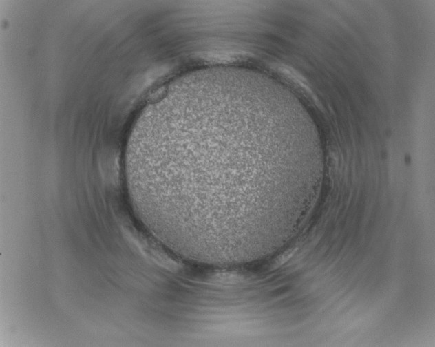 X0000071960596200607282035