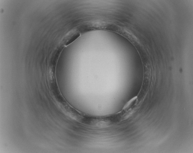 X0000071960597200607282035