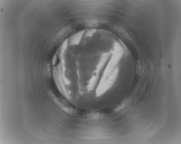 X0000071960598200607282035