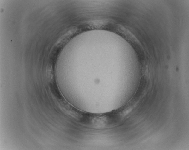 X0000071960599200607282035