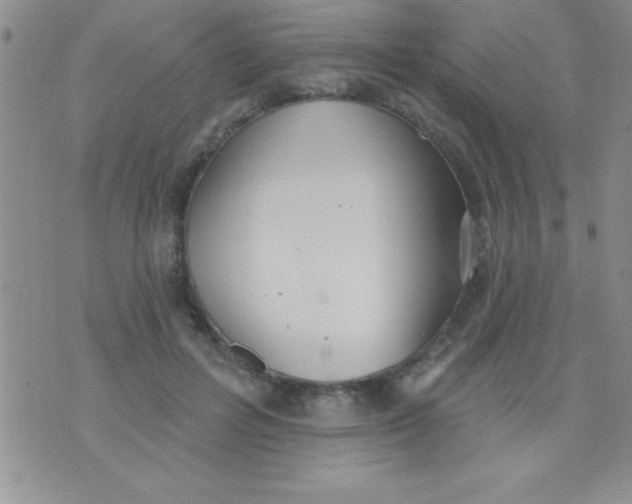 X0000071960600200607282035