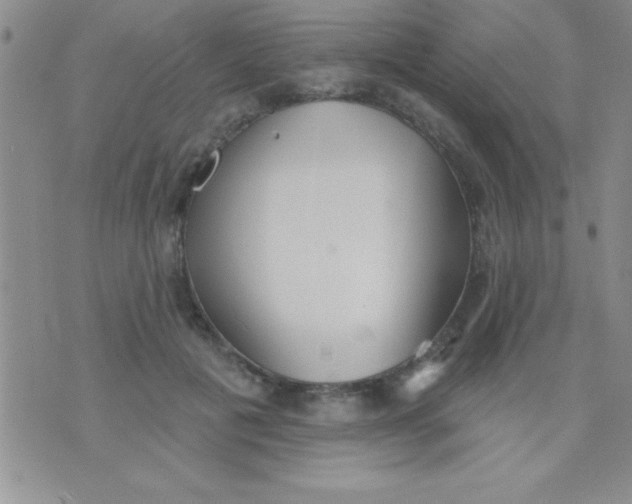 X0000071960601200607282035