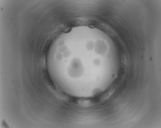 X0000071960602200607282035