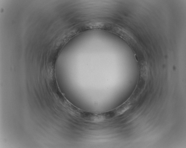 X0000071960604200607282035