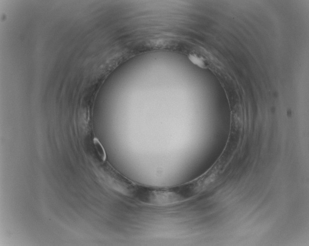 X0000071960605200607282035