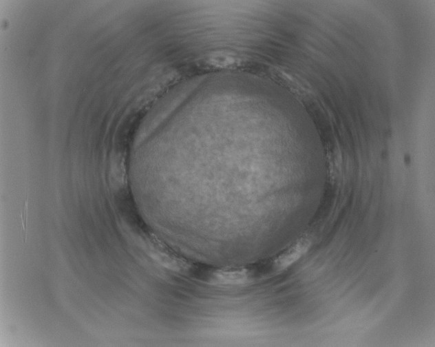 X0000071960606200607282035