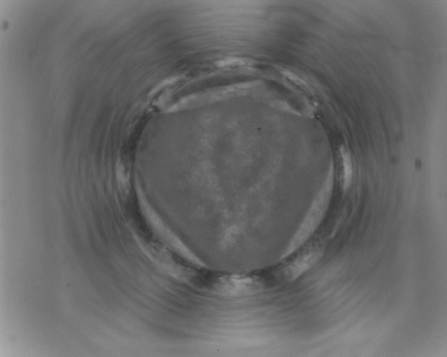 X0000071960607200607282035