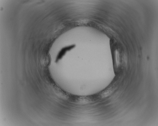 X0000071960608200607282035