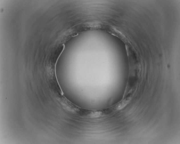 X0000071960609200607282035