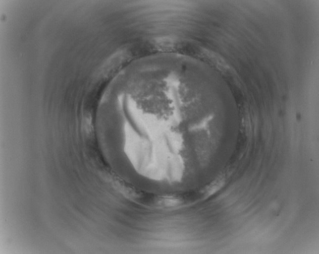 X0000071960610200607282035