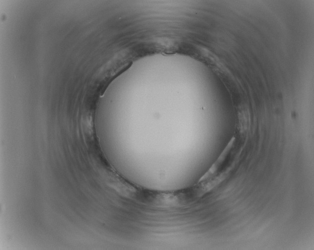 X0000071960613200607282035