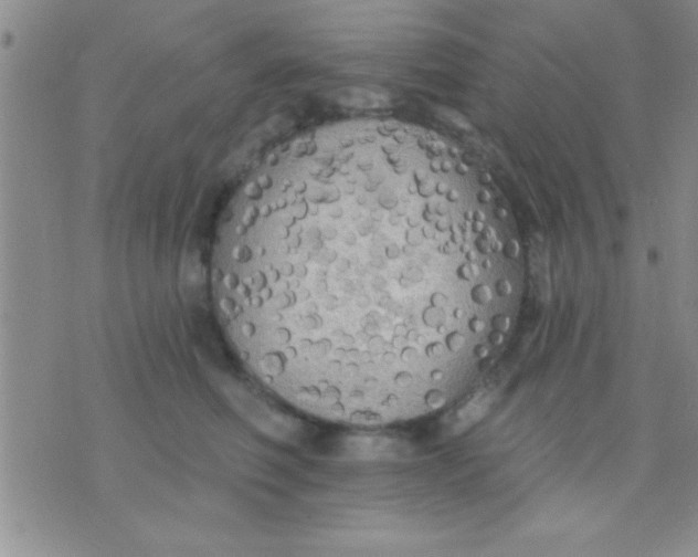 X0000071960614200607282035