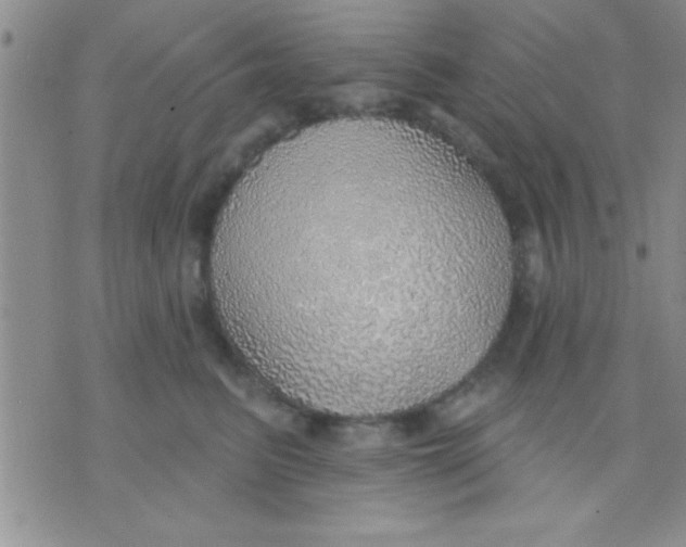 X0000071960615200607282035