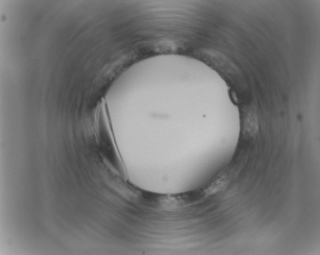 X0000071960616200607282035