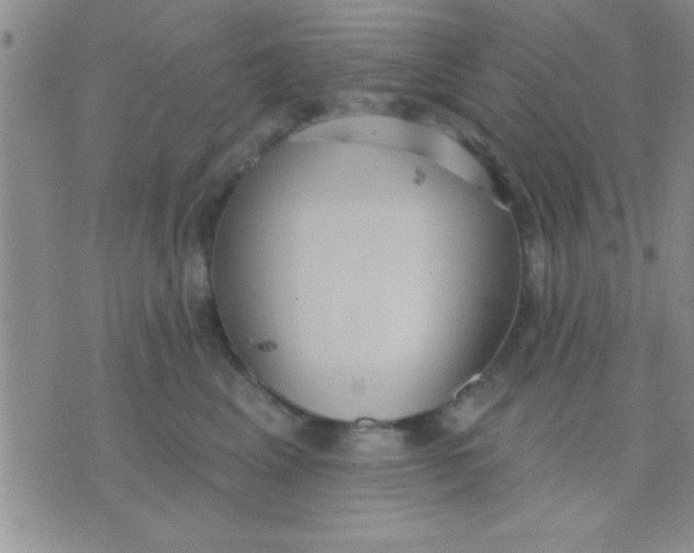 X0000071960617200607282035