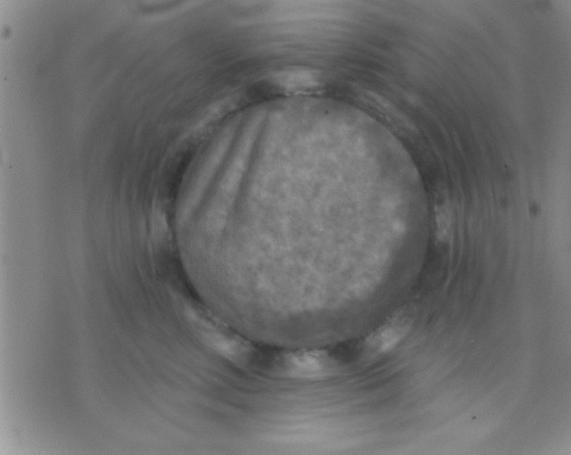 X0000071960618200607282035