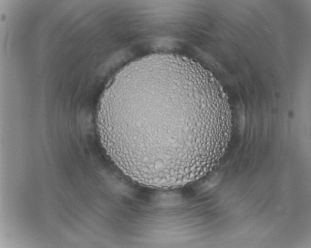 X0000071960619200607282035